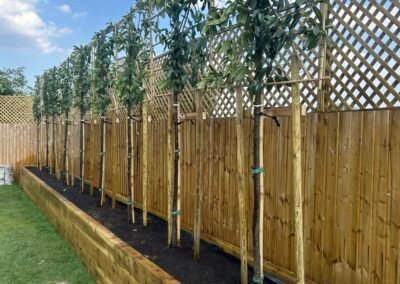 Garden Design Grimsby